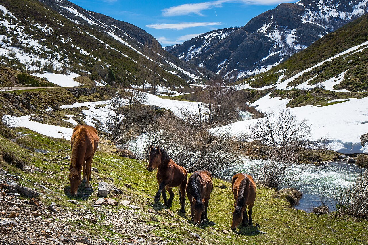 Picos de Europa: Make Space for the Mountains